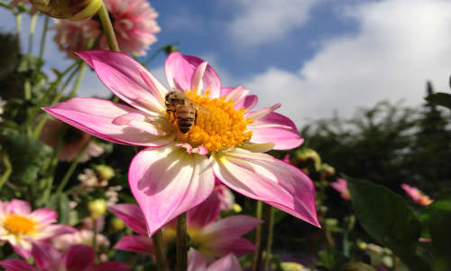 iPhone 5 new iSight camera Untouched Sample Image 2