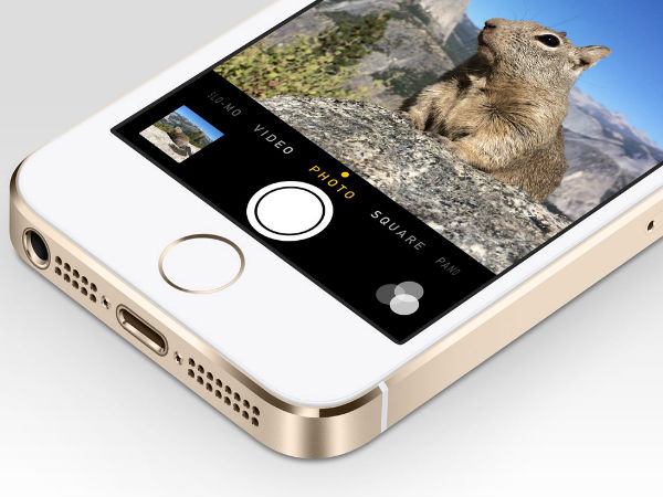 iphone with squirrel
