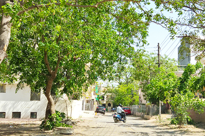 Poco X3 Pro Camera Samples Images [HD] Photo Gallery of Poco X3 Pro