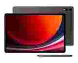 Samsung Galaxy Tab S9 Plus (256GB, WiFi)