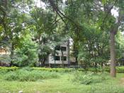 The Honor 6 is already 131