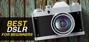 Best DSLR Cameras For Beginners