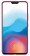 Vivo X21