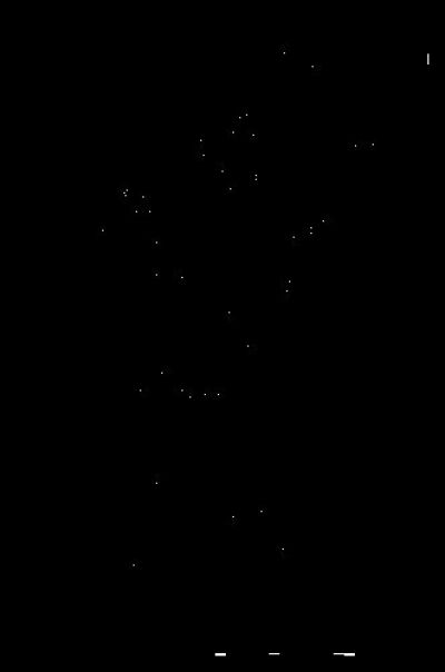 legion y700 2025 blu済み Lenovo Legion Y700 2025レビュー。8 Gen 3搭載の超パワフル8.8インチ