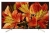 Sony Bravia X8500F Android Smart TV (KD-43X8500F)